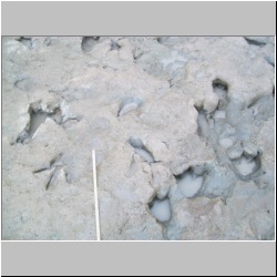 100_0692 (2009-27-07).JPG